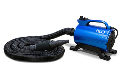 BLO Car Dryer Air-RS