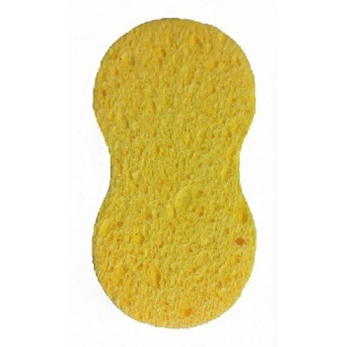 Polishing Sponge