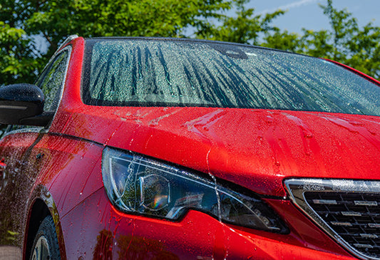 Soft99 Fusso Coat + Free Rain Drop Protective Coating