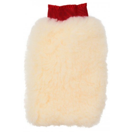 Wash Mitt